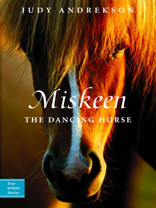 Title details for Miskeen by Judy Andrekson - Available